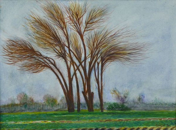 Красивые деревья, 42 х 57, бумага, акварель, 1996 г.