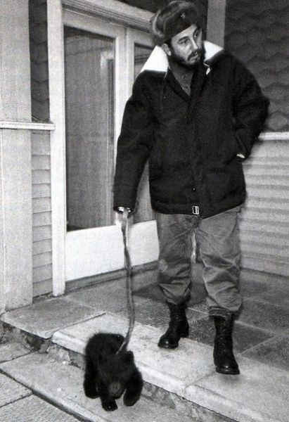 Фидель Кастро с подаренным ему медвежонком, Иркутск, 1963 г.