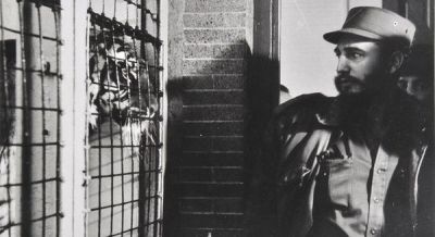 Фидель Кастро смотрит в глаза тигра, Нью-Йорк, 1959 г.