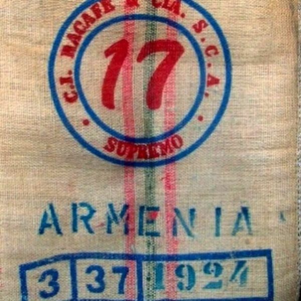 Кофейные рощи в Армении – не миф! Давайте разбираться